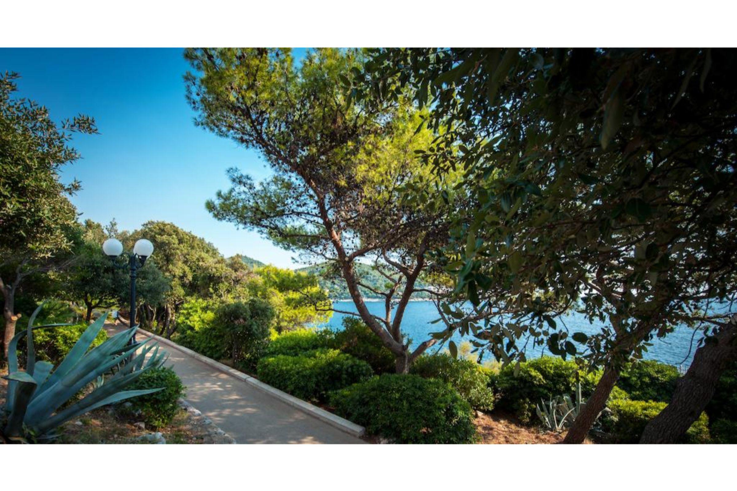 דוברובניק Royal Princess Hotel מראה חיצוני תמונה The park