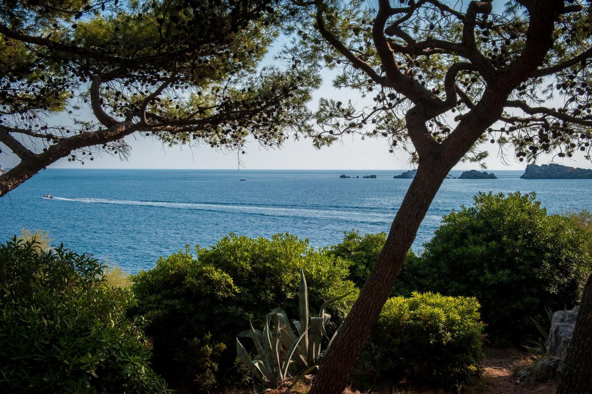 דוברובניק Royal Princess Hotel מראה חיצוני תמונה View of the sea from the park